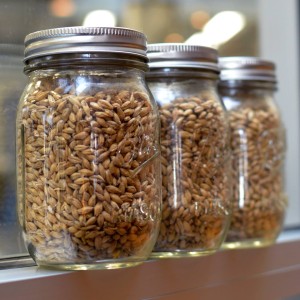 1507467_10152262494128436_747701251_o