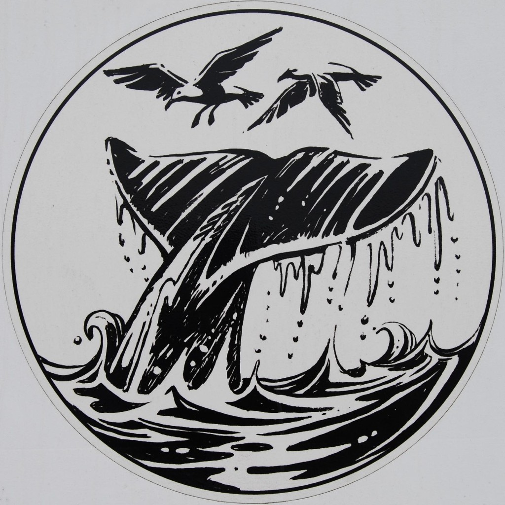 2755628206_d9700ee4e2_o