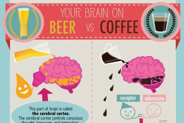 Your Brain on Beer vs. Coffee
